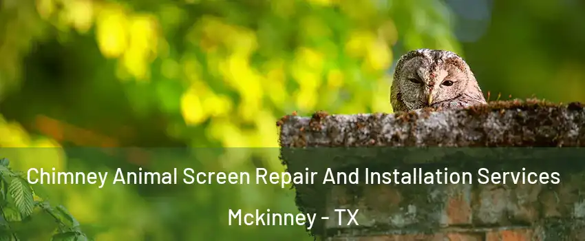 Chimney Animal Screen Repair And Installation Services Mckinney - TX