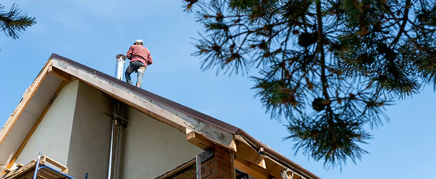 Birds Removal Contractors from Chimney in Mckinney, TX
