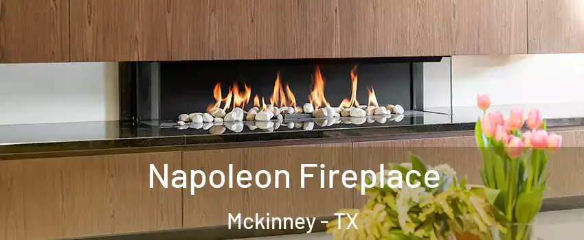 Napoleon Fireplace Mckinney - TX